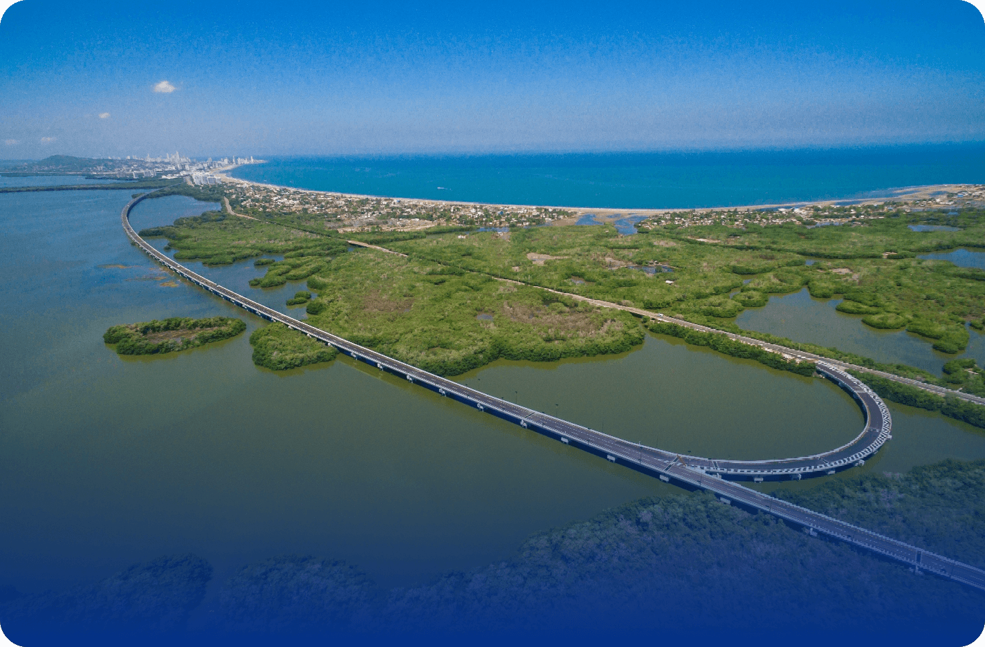 Descripción de la imagen