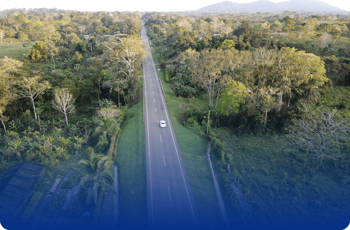 Descripción de la imagen